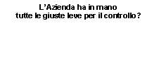 Casella di testo: LAzienda ha in mano tutte le giuste leve per il controllo?